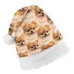 Custom Face Cute Pet Gift Christmas Hat
