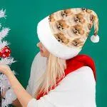 Custom Face Cute Pet Gift Christmas Hat