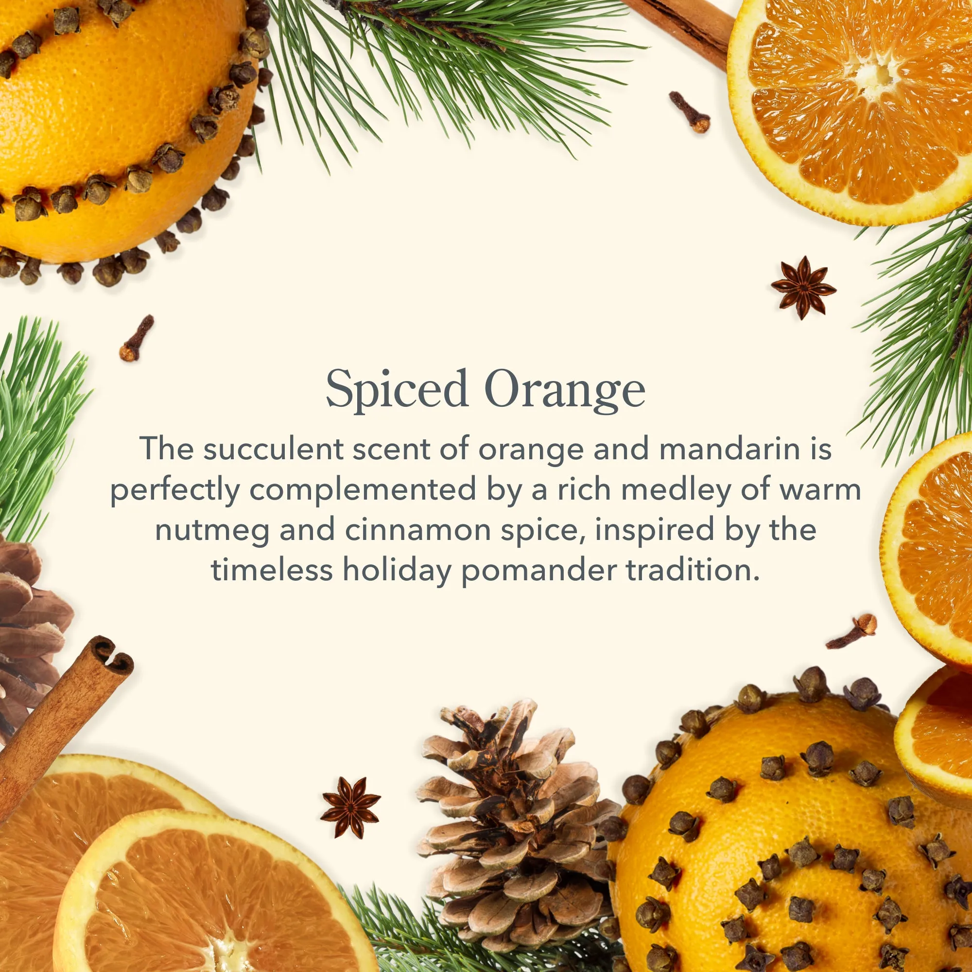 Spiced Orange 3-Pack Palm-Sized Bar Soap Set